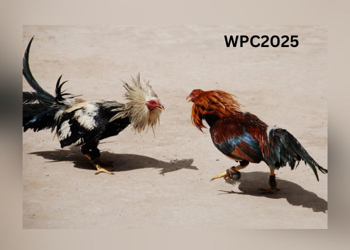 WPC2025